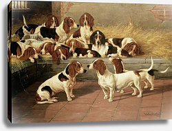 Постер Гарланд Валентин Basset Hounds in a Kennel, 1894 Постер Гарланд Валентин Basset Hounds in a Kennel, 1894