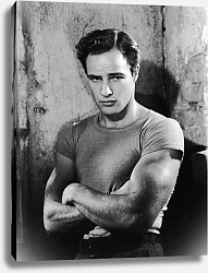 Постер Brando, Marlon (A Streetcar Named Desire) 4 Постер Brando, Marlon (A Streetcar Named Desire) 4
