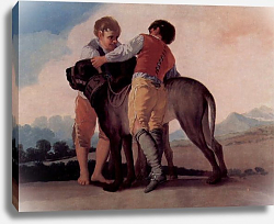 Постер Гойя Франсиско (Francisco de Goya) Эскизы гобеленов для королевских дворцов Прадо и Эскориал. Мальчики с легавой Постер Гойя Франсиско (Francisco de Goya) Эскизы гобеленов для королевских дворцов Прадо и Эскориал. Мальчики с легавой
