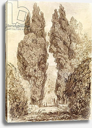 Постер Фрагонар Жан Large Cypresses at the Villa d'Este Постер Фрагонар Жан Large Cypresses at the Villa d'Este