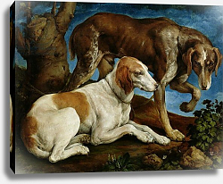 Постер Бассано Якопо Two Hunting Dogs Tied to a Tree Stump, c.1548-50 Постер Бассано Якопо Two Hunting Dogs Tied to a Tree Stump, c.1548-50