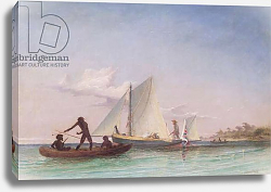 Постер Бэйнс Томас The Long Boat of the Messenger attacked by Natives Постер Бэйнс Томас The Long Boat of the Messenger attacked by Natives