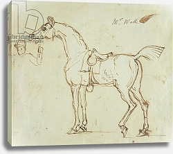 Постер Сеймур Джеймс A Racehorse, Bridled and Saddled Постер Сеймур Джеймс A Racehorse, Bridled and Saddled