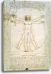 Постер Леонардо да Винчи (Leonardo da Vinci) The Proportions of the human figure, c.1492 Постер Леонардо да Винчи (Leonardo da Vinci) The Proportions of the human figure, c.1492