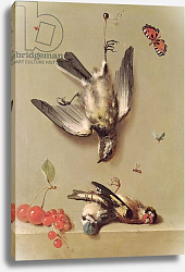 Постер Одри Жан-Батист Still Life of Dead Birds and Cherries, 1712 Постер Одри Жан-Батист Still Life of Dead Birds and Cherries, 1712