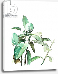 Постер Денис Лаура Verde, 2018 Постер Денис Лаура Verde, 2018