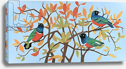 Постер Мур Меган (совр) Suberb Starlings of East Africa, 2015 Постер Мур Меган (совр) Suberb Starlings of East Africa, 2015