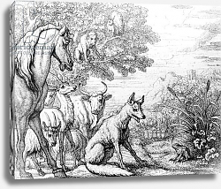Постер Барлоу Франсис The Ambitious Frog, illustration from 'Aesop's Fables', 1687 Постер Барлоу Франсис The Ambitious Frog, illustration from 'Aesop's Fables', 1687