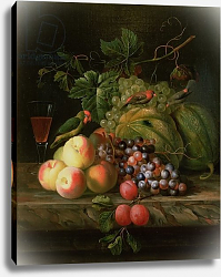 Постер Богдани Якоб Still life of fruit on a ledge with Parakeets Постер Богдани Якоб Still life of fruit on a ledge with Parakeets