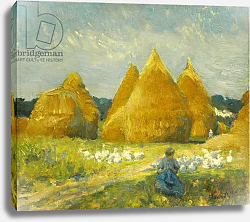 Постер Вонох Роберт Gathering Geese, Постер Вонох Роберт Gathering Geese,