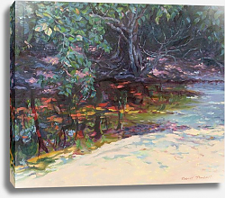 Постер Тиндалл Роберт (совр) Beach and Rain Forest, Cape Tribulation, Northern Queensland, Australia Постер Тиндалл Роберт (совр) Beach and Rain Forest, Cape Tribulation, Northern Queensland, Australia
