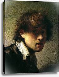 Постер Рембрандт (Rembrandt) Head of a Young Man or Self Portrait, 1629 Постер Рембрандт (Rembrandt) Head of a Young Man or Self Portrait, 1629