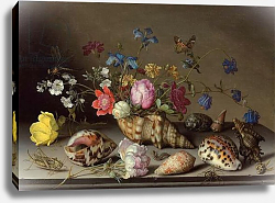 Постер Аст Балтазар Flowers, shells and insects on a stone ledge Постер Аст Балтазар Flowers, shells and insects on a stone ledge