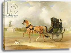 Постер Фернли Джон William Massey-Stanley Driving his Cabriolet in Hyde Park, 1833 Постер Фернли Джон William Massey-Stanley Driving his Cabriolet in Hyde Park, 1833