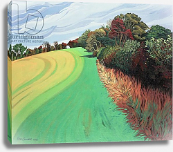Постер Тиздейл Анна (совр) Little Solsbury Hill, Bath, 1994 Постер Тиздейл Анна (совр) Little Solsbury Hill, Bath, 1994