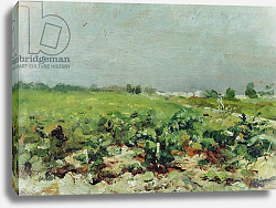 Постер Тулуз-Лотрек Анри (Henri Toulouse-Lautrec) Celeyran, View of the Vineyard, 1880 Постер Тулуз-Лотрек Анри (Henri Toulouse-Lautrec) Celeyran, View of the Vineyard, 1880