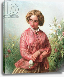 Постер Саломон Абрахам Portrait of a young girl with a rose Постер Саломон Абрахам Portrait of a young girl with a rose