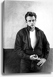 Постер Dean, James (Rebel Without A Cause) 2 Постер Dean, James (Rebel Without A Cause) 2