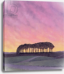 Постер Брэйн Энн (совр) Distant Pines Постер Брэйн Энн (совр) Distant Pines