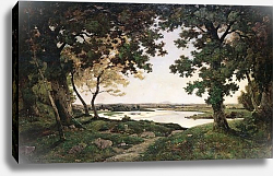 Постер Харпигнес Генри Джозеф Wooded Landscape with a Sandy River, 1882 Постер Харпигнес Генри Джозеф Wooded Landscape with a Sandy River, 1882
