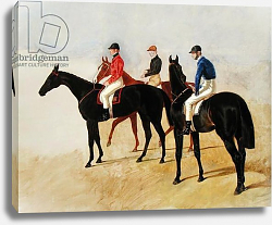 Постер Херринг Джон Study of Three Steeplechase Cracks, or Three Racehorses with Jockeys Up Постер Херринг Джон Study of Three Steeplechase Cracks, or Three Racehorses with Jockeys Up