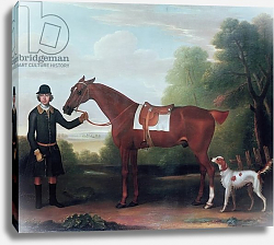 Постер Сеймур Джеймс Lord Portman's 'Snap' held by groom with dog Постер Сеймур Джеймс Lord Portman's 'Snap' held by groom with dog