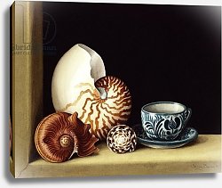 Постер Баррон Дженни Still life with Nautilus, 1998 Постер Баррон Дженни Still life with Nautilus, 1998