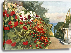 Постер Никсон Мима The Dahlia Border, Villa Hvidore Постер Никсон Мима The Dahlia Border, Villa Hvidore
