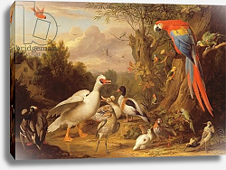 Постер Богдани Якоб A Macaw, Ducks, Parrots and Other Birds in a Landscape, c.1708-10 Постер Богдани Якоб A Macaw, Ducks, Parrots and Other Birds in a Landscape, c.1708-10