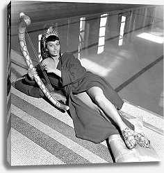 Постер Loren, Sophia (Two Nights With Cleopatra) 5 Постер Loren, Sophia (Two Nights With Cleopatra) 5