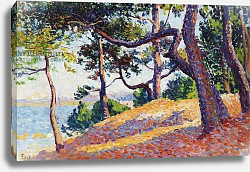 Постер Люс Максимильен Landscape in Saint-Tropez, 1892 Постер Люс Максимильен Landscape in Saint-Tropez, 1892