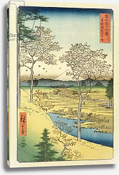 Постер Утагава Хирошиге (яп) Fuji from Yuhi-Ga, Megwo, No.10 from the series '36 Views of Mt.Fuji', Постер Утагава Хирошиге (яп) Fuji from Yuhi-Ga, Megwo, No.10 from the series '36 Views of Mt.Fuji',
