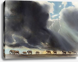 Постер Сандерс Франческа (совр) Elephant in storm, 2014 Постер Сандерс Франческа (совр) Elephant in storm, 2014