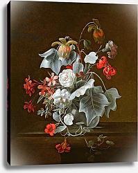 Постер Верель Симон Still Life 9 Постер Верель Симон Still Life 9