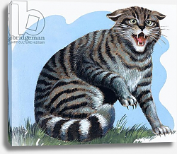 Постер Дэвис Р. (жив, дет) Wild Cat, from 'Treasure', 1966 Постер Дэвис Р. (жив, дет) Wild Cat, from 'Treasure', 1966