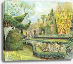 Постер Купер Мэри (совр) The Long garden, Cliveden: Topiary Постер Купер Мэри (совр) The Long garden, Cliveden: Topiary