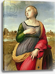 Постер Рафаэль (Raphael Santi) St. Catherine of Alexandria, 1507-8 Постер Рафаэль (Raphael Santi) St. Catherine of Alexandria, 1507-8