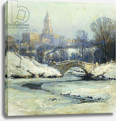 Постер Купер Колин Central Park, Постер Купер Колин Central Park,