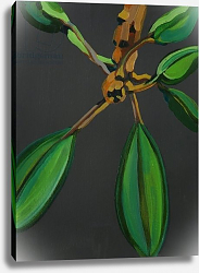 Постер Бартон Дебора (совр) Frangipani Leaves, Bequia, 2008 Постер Бартон Дебора (совр) Frangipani Leaves, Bequia, 2008