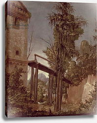 Постер Альтдорфер Альтбрехт Landscape with a Footbridge, c.1518-20 Постер Альтдорфер Альтбрехт Landscape with a Footbridge, c.1518-20