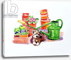 Постер Мэттьюз Диана (совр) Terrier amongst Terracotta Pots Постер Мэттьюз Диана (совр) Terrier amongst Terracotta Pots
