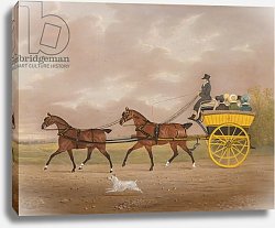 Постер Купер Эдвин A Gentleman driving Tandem to a Jaunting Car Постер Купер Эдвин A Gentleman driving Tandem to a Jaunting Car