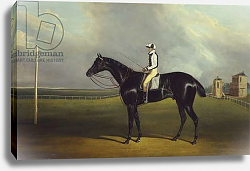 Постер Дэлби Давид Mr R.O. Gascoigne's 'Jerry' with B. Smith up on Doncaster Racecourse Постер Дэлби Давид Mr R.O. Gascoigne's 'Jerry' with B. Smith up on Doncaster Racecourse