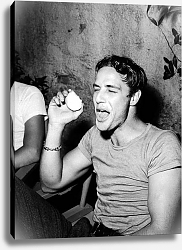 Постер Brando, Marlon (A Streetcar Named Desire) 5 Постер Brando, Marlon (A Streetcar Named Desire) 5