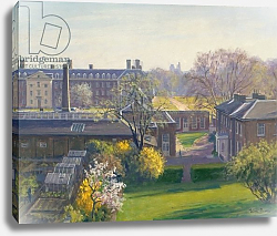 Постер Берроу Джулиан (совр) Royal Hospital from 33 Tite Street Постер Берроу Джулиан (совр) Royal Hospital from 33 Tite Street