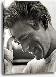 Постер Dean, James (Rebel Without A Cause) 3 Постер Dean, James (Rebel Without A Cause) 3