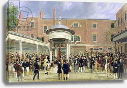 Постер Поллард Джеймс Epsom Races: Settling Day at Tattersall's Постер Поллард Джеймс Epsom Races: Settling Day at Tattersall's
