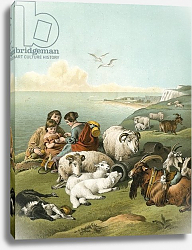 Постер Лэндсир Эдвин Children playing with sheep and goats on white cliffs Постер Лэндсир Эдвин Children playing with sheep and goats on white cliffs