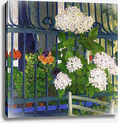 Постер Мозер Коло Geraniums Постер Мозер Коло Geraniums
