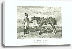 Постер J.H. Lethbridge Esqr. And his horse Trump Постер J.H. Lethbridge Esqr. And his horse Trump